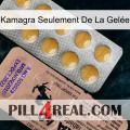 Kamagra Seulement De La Gelée 41